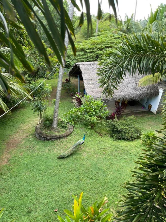 Hiru Villa Tangalle Dış mekan fotoğraf